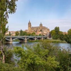 Salamanca 3 aparthotely