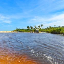 Trancoso 86 B&Bs