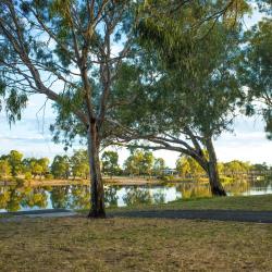 Horsham 10 motels