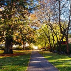 Hepburn Springs 3 B&Bs
