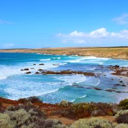 Port Lincoln 78 hotelů