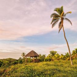 Imbassai 5 guest houses