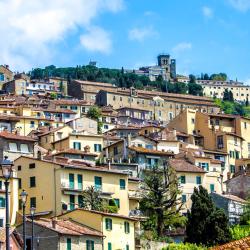 Cortona