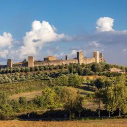 Monteriggioni 13 farm stays