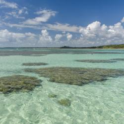 Ilha de Boipeba 156 hotelů