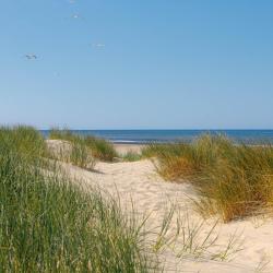 Julianadorp 95 beach rentals