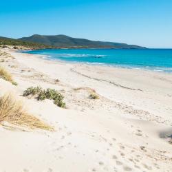 Porto Pino 59 vacation rentals