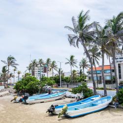 Boca del Río 84 khách sạn