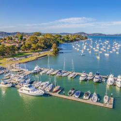 Gosford 4 vily