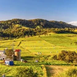 Nowra 24 hotels