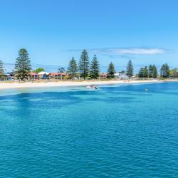 Rockingham 4 pet-friendly hotels