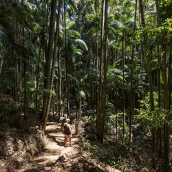 Mount Tamborine 6 of the lodges