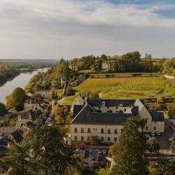 Chinon 29 hoteles que admiten mascotas