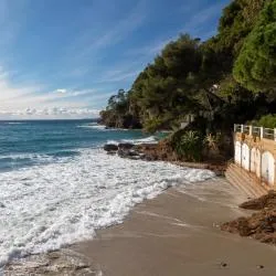 Rayol-Canadel-sur-Mer 4 Bed & Breakfasts