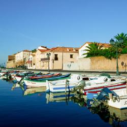 Meze 7 of the homestays