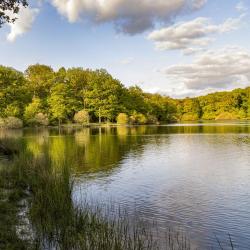 Rambouillet 30 hôtels pas chers