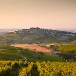 Sancerre 20 hoteles que admiten mascotas