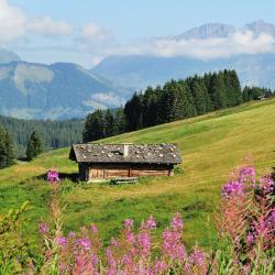 Les Saisies 8 cabins