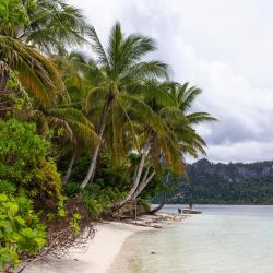 Batu Ampar 9 hotels