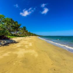 Suva