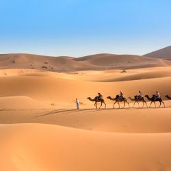 Merzouga 523 Zelt-Lodges