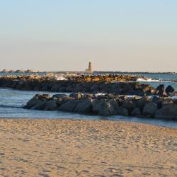 Fiumicino 590 hotels