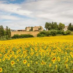 Porto Recanati 109 holiday rentals