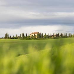 Rapolano Terme 18 B&Bs