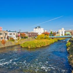 Chitose 59 hotels with parking