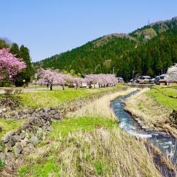 Fukui 64 hotels