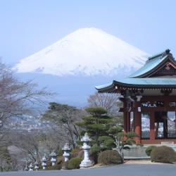 御殿场市 7家乡村别墅