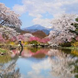 Koriyama 4 4-star hotels
