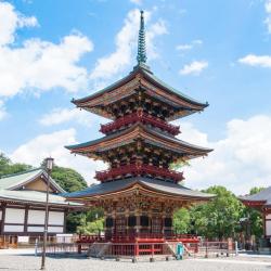 Narita