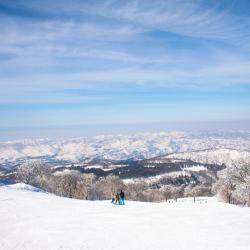 Nozawa Onsen 36 cheap hotels
