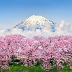 Shizuoka 6 4-star hotels