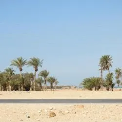 Ras Sedr 29 beach rentals