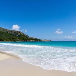 Cala Ratjada 4 apartamenty z obsługą