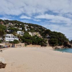KAKTUS Hotel Kaktus Playa, Calella (updated prices 2026)