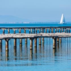 Sant Carles de la R&agrave;pita 59 pet-friendly hotels