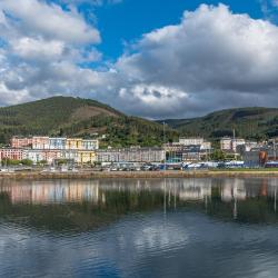 Viveiro 26 vacation homes