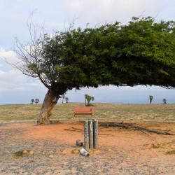 Lu&iacute;s Correia 127 hot&eacute;is com piscina