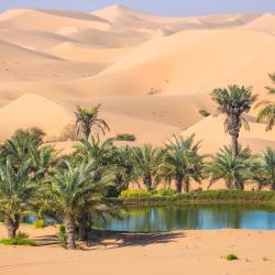 Al Ain 20 cheap hotels