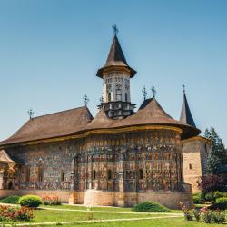 Gura Humorului 30 hoteles que aceptan mascotas