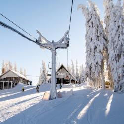 Păltiniş Nastanitve z opremo za kuhanje (6)