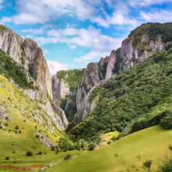 Turda 51 B&Bs