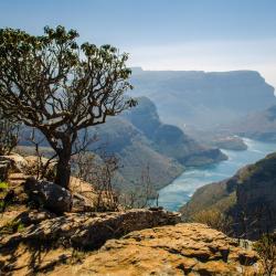 Graskop 66 hotels with parking
