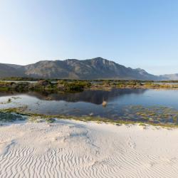 Hermanus