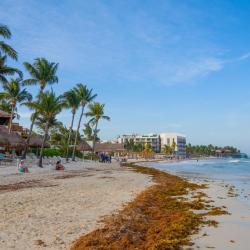 Ciudad del Carmen 54 hotels