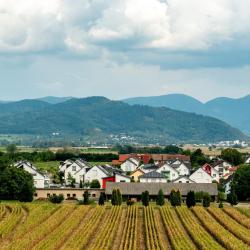 Bad Krozingen 3 luxury hotels