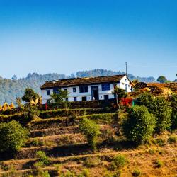 Almora 6 4-star hotels